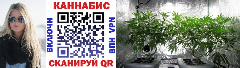 Цена Юрьевец ссылка на мегу   Галлюциногенные грибы  Марихуана  Меф  СК  АМФЕТАМИН  COCAIN 