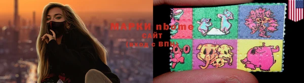 шишки Богородицк