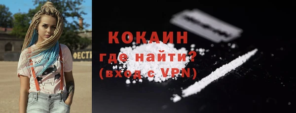 шишки Богородицк