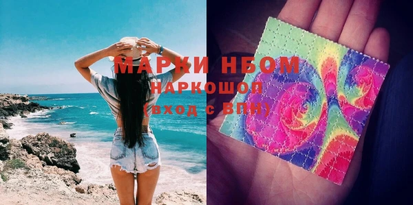 шишки Богородицк