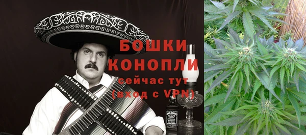 шишки Богородицк