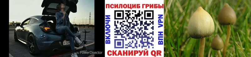 Галлюциногенные грибы мицелий  как найти закладки  Юрьевец 